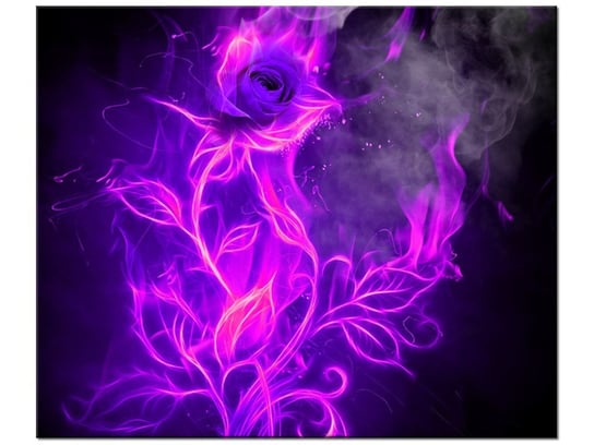 Obraz Fioletowy ogień róży, 60x50 cm Oobrazy