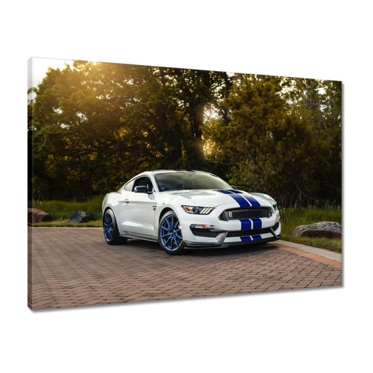 Obraz Ford Mustang Samochód USA, 70x50cm ZeSmakiem