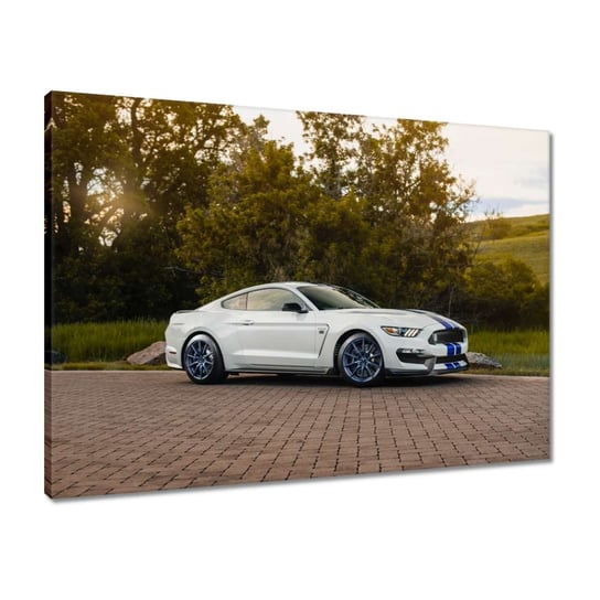 Obraz Ford Mustang Samochód USA, 70x50cm ZeSmakiem