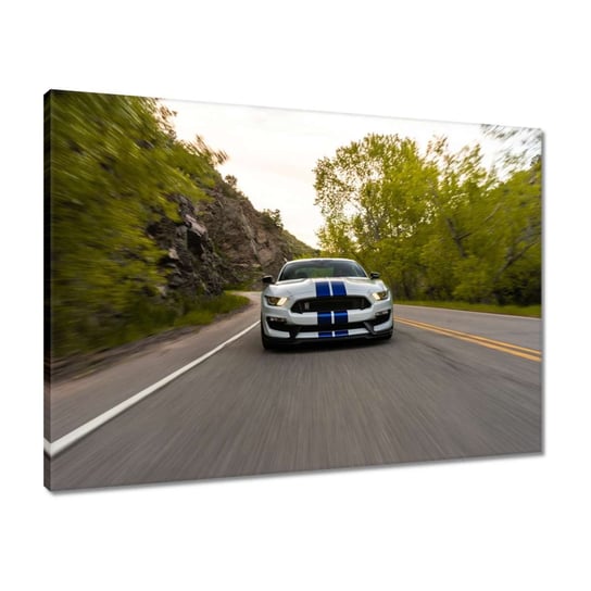 Obraz Ford Mustang Samochód USA, 70x50cm ZeSmakiem