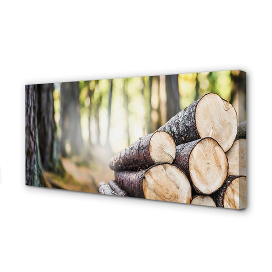Obraz foto na płótnie TULUP Drewno natura las 120x60 cm cm Tulup