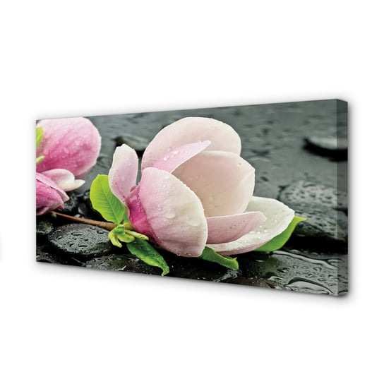 Obraz foto na płótnie TULUP Magnolia kamienie 120x60 cm cm Tulup