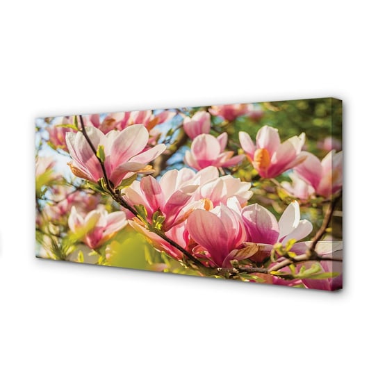 Obraz foto na płótnie TULUP Różowa magnolia 120x60 cm cm Tulup