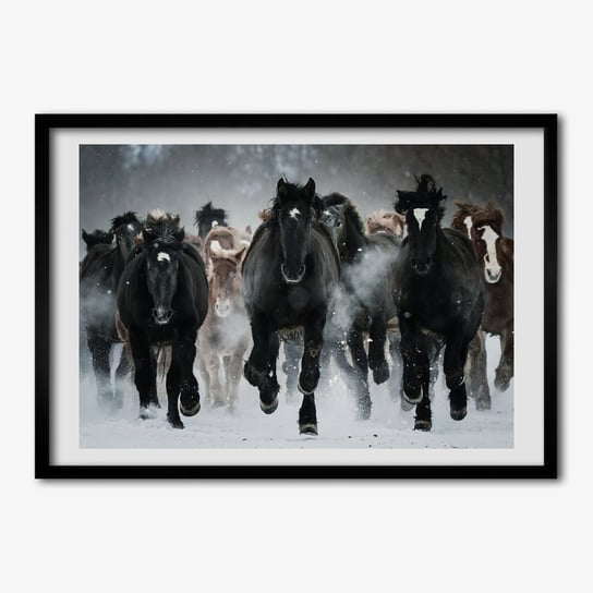 Obraz foto ramka do salonu TULUP Konie w galopie 70x50 cm Tulup