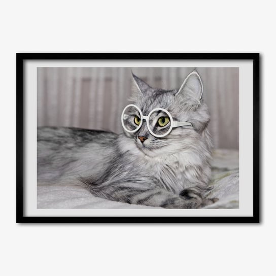 Obraz foto ramka do salonu TULUP Kot w okularach 70x50 cm Tulup