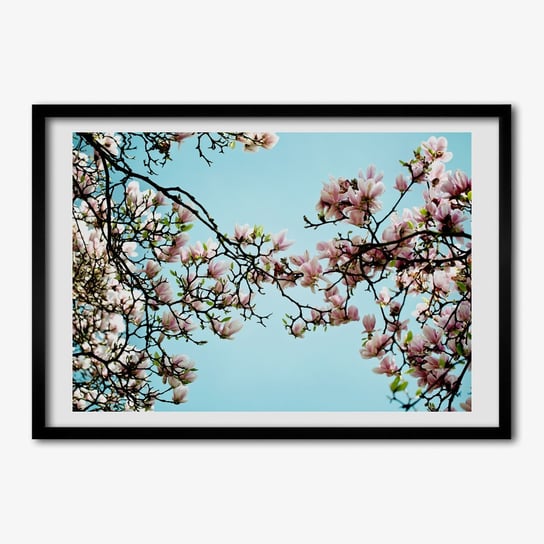 Obraz foto w ramce TULUP Kwiaty magnolii 70x50 cm cm Tulup
