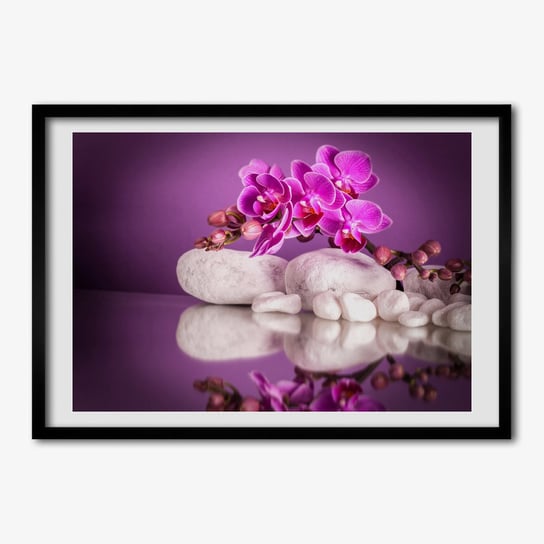 Obraz foto w ramce TULUP Różowa orchidea 70x50 cm cm Tulup