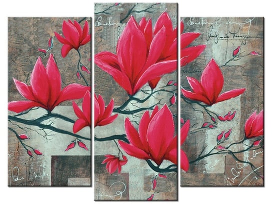 Obraz Fuksjowa magnolia, 3 elementy, 90x70 cm Oobrazy