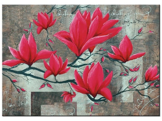 Obraz Fuksjowa magnolia, 70x50 cm Oobrazy