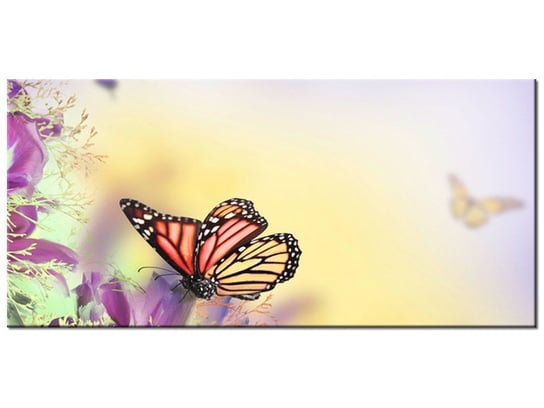Obraz, Full color butterfly, 115x55 cm Oobrazy