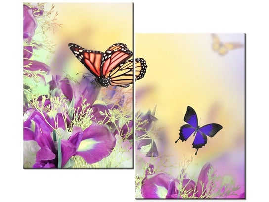 Obraz Full color butterfly, 2 elementy, 80x70 cm Oobrazy