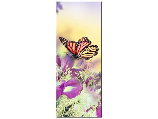 Obraz Full color butterfly, 40x100 cm Oobrazy