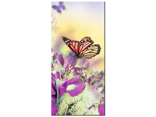 Obraz Full color butterfly, 55x115 cm Oobrazy