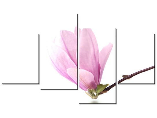 Obraz Gałązka magnolii, 4 elementy, 120x70 cm Oobrazy