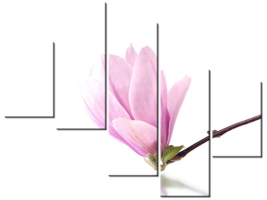 Obraz, Gałązka magnolii, 5 elementów, 100x75 cm Oobrazy