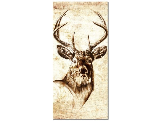 Obraz Głowa jelenia, 55x115 cm Oobrazy