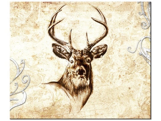 Obraz Głowa jelenia, 60x50 cm Oobrazy