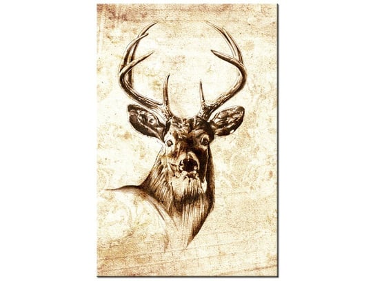 Obraz, Głowa jelenia, 80x120 cm Oobrazy