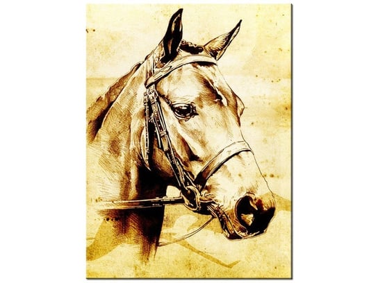 Obraz Głowa konia, 30x40 cm Oobrazy