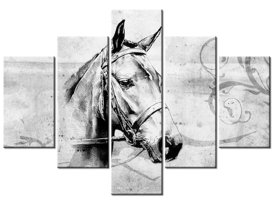 Obraz, Głowa konia, 5 elementów, 100x70 cm Oobrazy