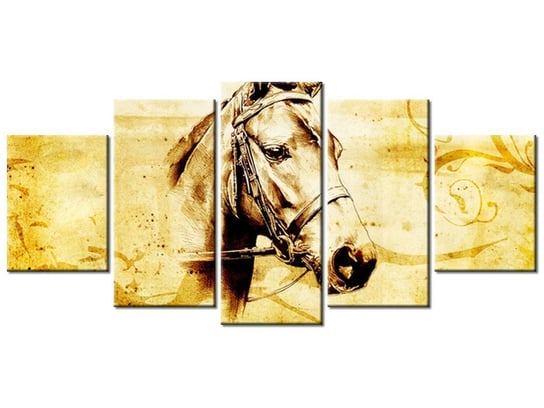 Obraz Głowa konia, 5 elementów, 150x70 cm Oobrazy