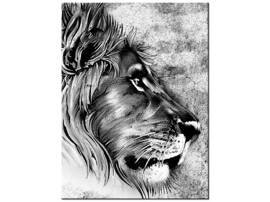 Obraz Głowa lwa, 30x40 cm Oobrazy
