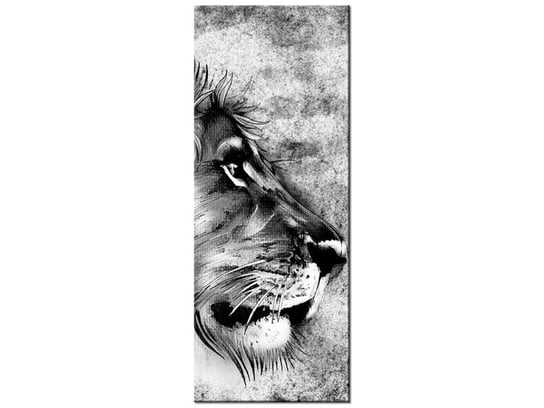 Obraz Głowa lwa, 40x100 cm Oobrazy