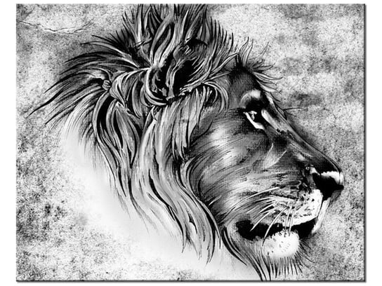 Obraz Głowa lwa, 50x40 cm Oobrazy