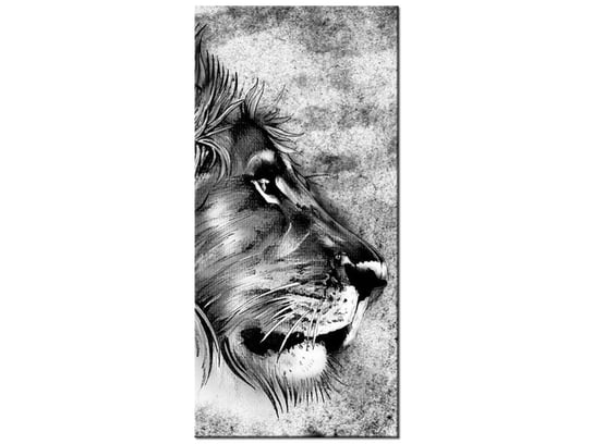 Obraz Głowa lwa, 55x115 cm Oobrazy