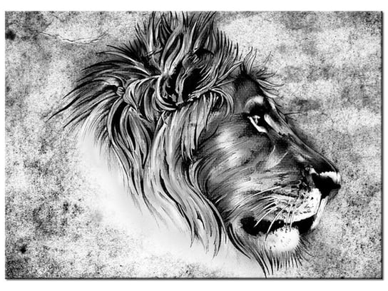 Obraz Głowa lwa, 70x50 cm Oobrazy