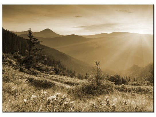 Obraz Górski krajobraz, 70x50 cm Oobrazy