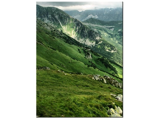 Obraz Górskie zbocze, 30x40 cm Oobrazy