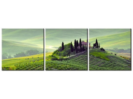 Obraz, Gospodarstwo w Toskanii, 3 elementy, 150x50 cm Oobrazy