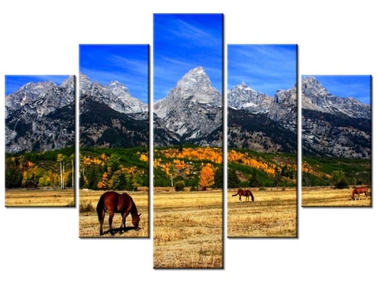 Obraz, Grand Teton - fortherock, 5 elementów, 150x105 cm Oobrazy