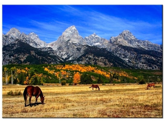 Obraz Grand Teton - fortherock, 70x50 cm Oobrazy