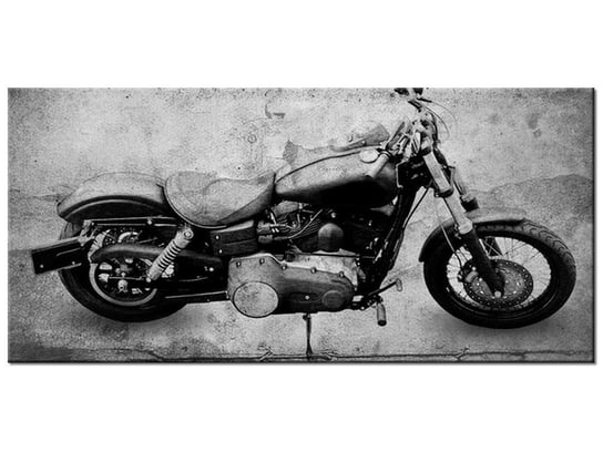 Obraz Harley mój, 115x55 cm Oobrazy