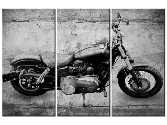 Obraz Harley mój, 3 elementy, 90x60 cm Oobrazy