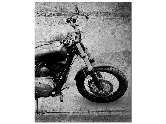 Obraz Harley mój, 40x50 cm Oobrazy