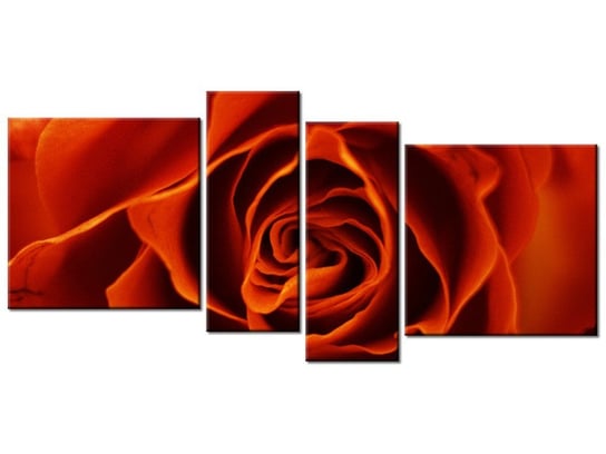 Obraz Herbaciana róża, 4 elementy, 120x55 cm Oobrazy