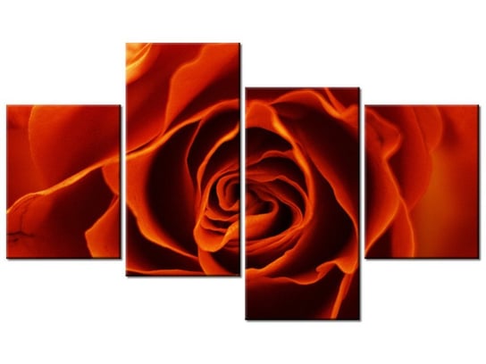 Obraz Herbaciana róża, 4 elementy, 120x70 cm Oobrazy