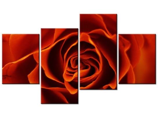 Obraz Herbaciana róża, 4 elementy, 120x70 cm Oobrazy