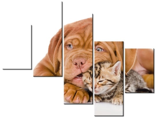 Obraz Jak pies z kotem, 5 elementów, 100x75 cm Oobrazy