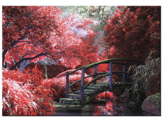 Obraz Japoński Ogród, 100x70 cm Oobrazy