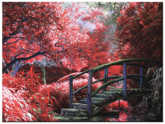 Obraz Japoński Ogród, 40x30 cm Oobrazy