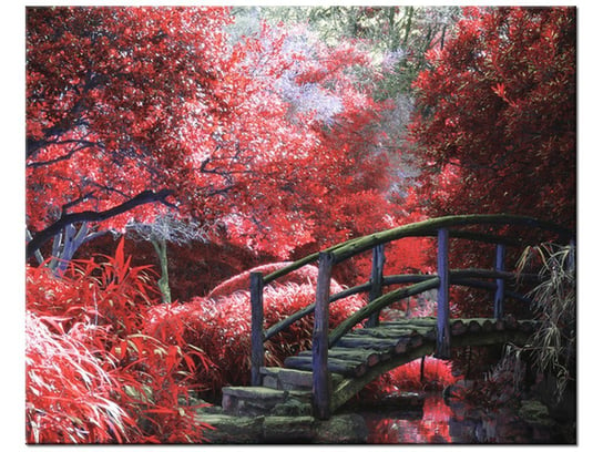 Obraz Japoński Ogród, 50x40 cm Oobrazy