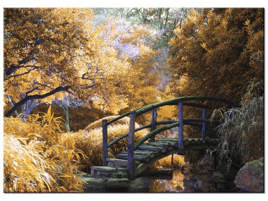 Obraz Japoński Ogród, 70x50 cm Oobrazy