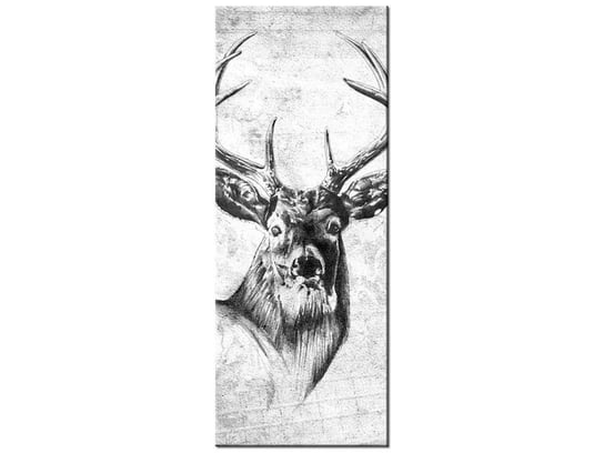 Obraz Jeleń, 40x100 cm Oobrazy