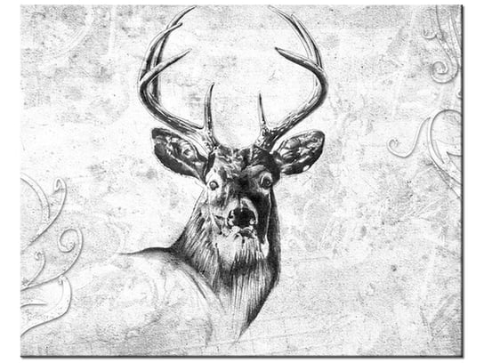 Obraz Jeleń, 50x40 cm Oobrazy