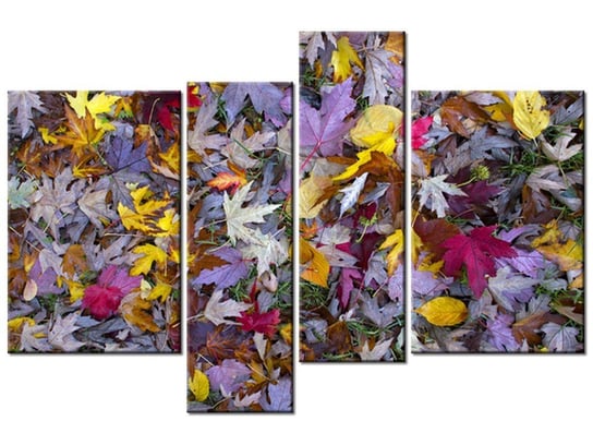 Obraz Jesienne kolory - Feans, 4 elementy, 130x85 cm Oobrazy