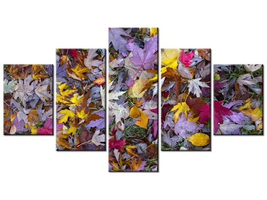 Obraz Jesienne kolory - Feans, 5 elementów, 125x70 cm Oobrazy